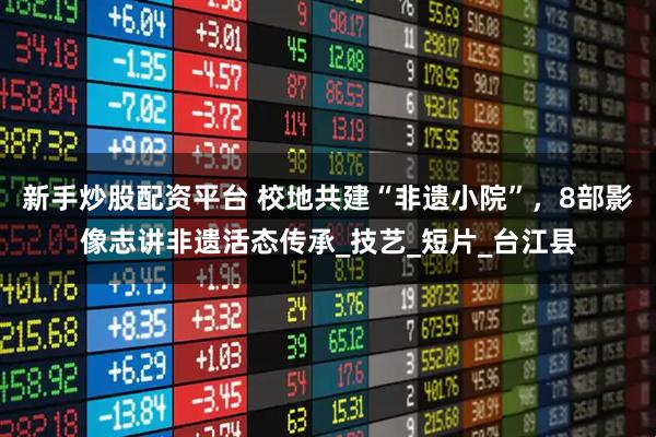 新手炒股配资平台 校地共建“非遗小院”，8部影像志讲非遗活态传承_技艺_短片_台江县